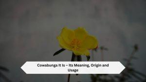Cowabunga It Is – Its Meaning, Origin and Usage - curiositytop.com