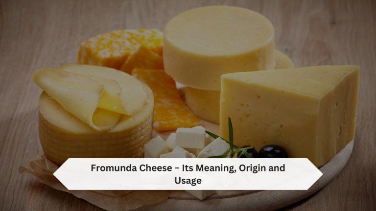 Fromunda Cheese – Its Meaning, Origin and Usage