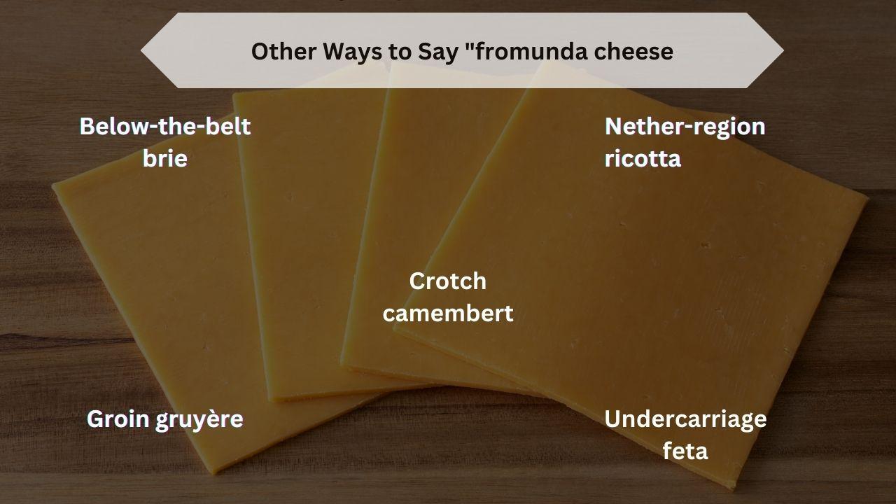 Other Ways to Say "fromunda cheese