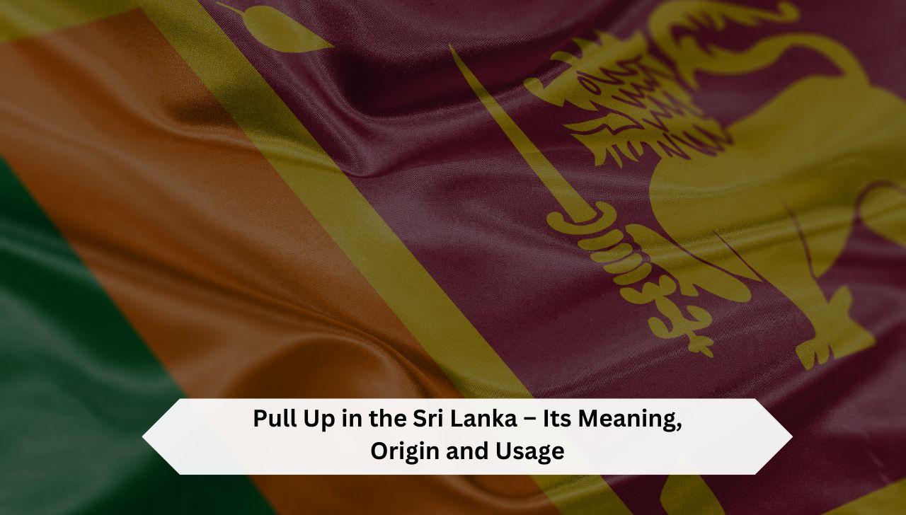 Pull Up In The Sri Lanka Lyrics Pull Up in the Sri Lanka – Its Meaning, Origin and Usage - curiositytop.com