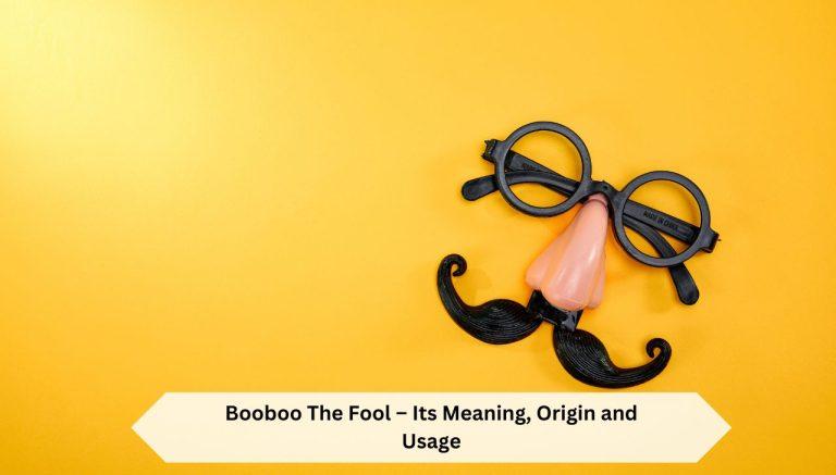 Booboo The Fool – Its Meaning, Origin and Usage
