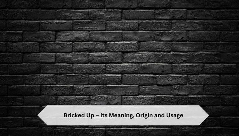 Bricked Up – Its Meaning, Origin and Usage