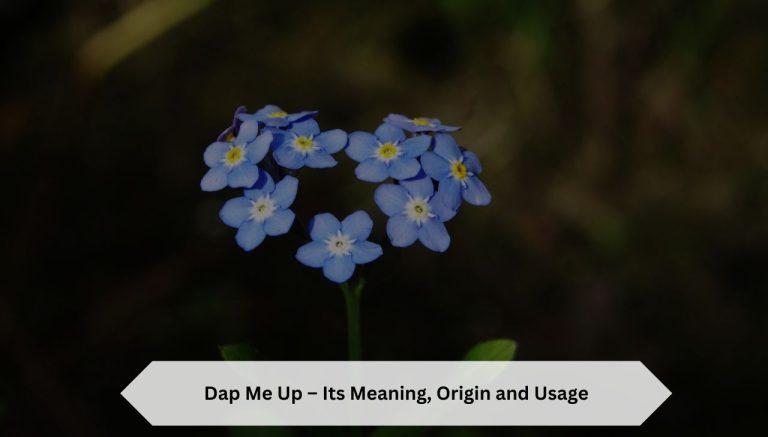 Dap-Me-Up-meaning