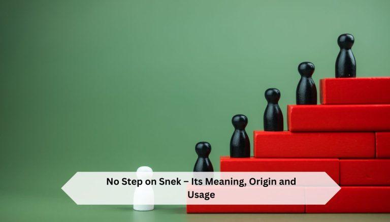 No Step on Snek – Its Meaning, Origin and Usage