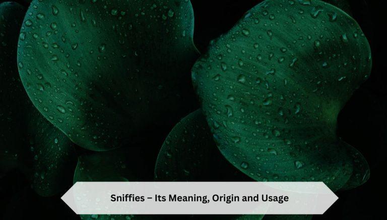 Sniffies – Its Meaning, Origin and Usage
