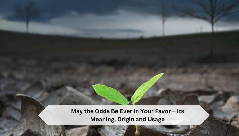 May the Odds Be Ever in Your Favor – Its Meaning, Origin and Usage
