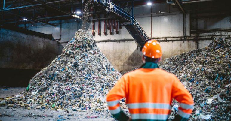 Pest Control in Waste Management Facilities: Effective Strategies and Best Practices